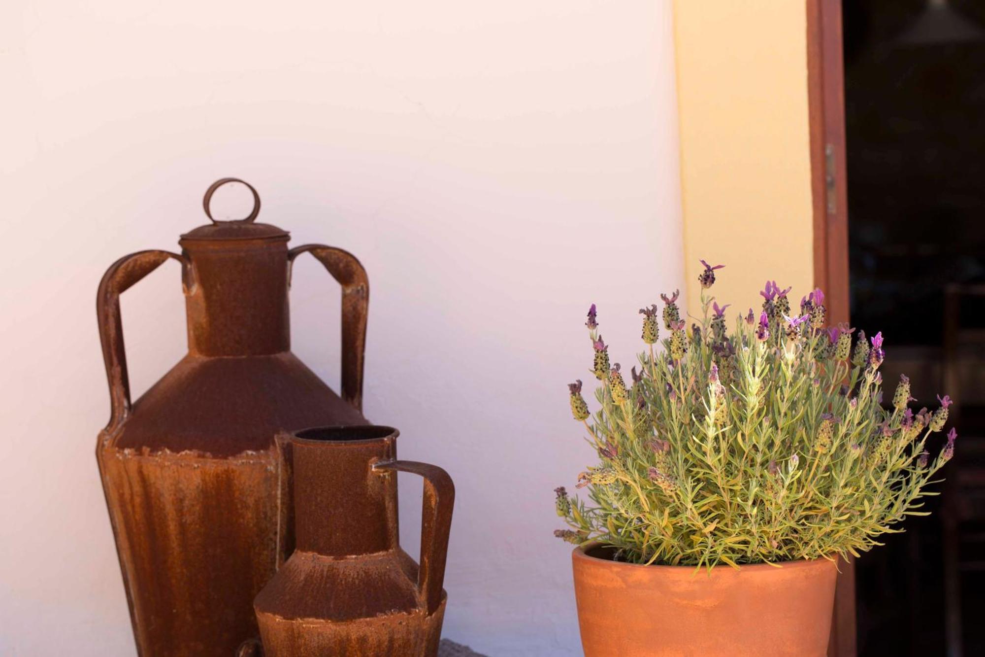 B&B Candelaria Corregos de Monte Seco 외부 사진